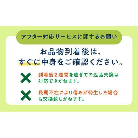 ふるさと納税 タカミメロン 約5kg（3?5玉） 《小値賀町》【ながさき西海農協小.. 長崎県小値賀町