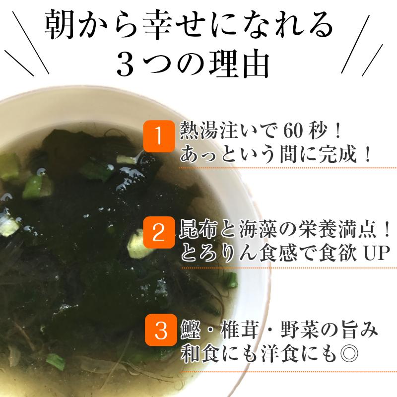 昆布 海藻 がごめ昆布 わかめ とろろ昆布入 即席 大袋 海藻スープ インスタント お得 食品 たっぷり50杯分 選べる プレーンorうめ味 とろりんスープ 200g×1袋