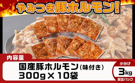 やみつき豚ホルモン!3kg!真空小分けパック!_AA-3307_(都城市) 国産豚 ホルモン 味付き 300g×10P 3kg 小分け 真空パック