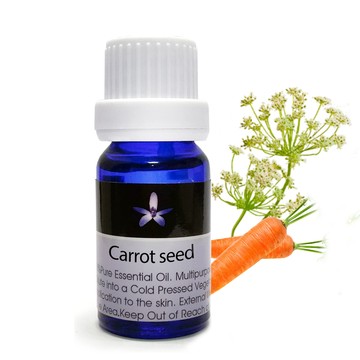 Body Temple 100%胡蘿蔔籽(Carrot seed)芳療精油10ml
