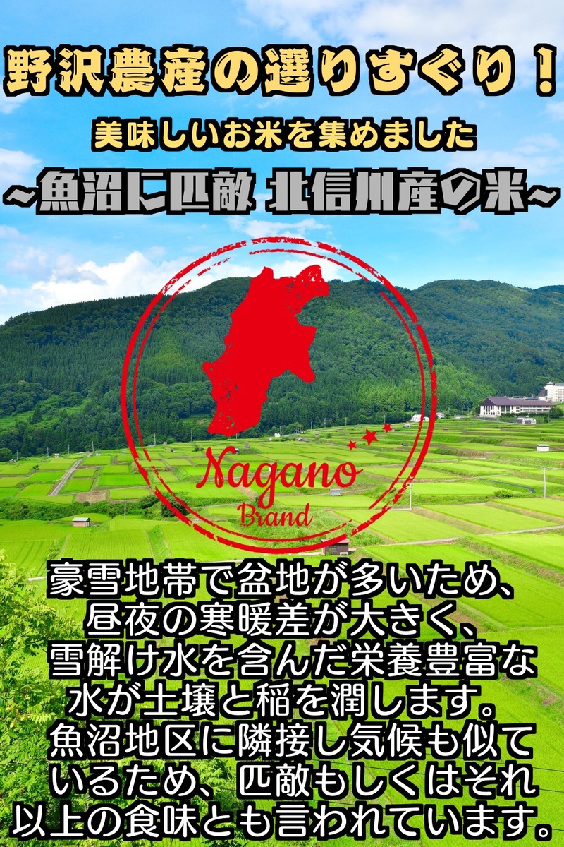 新米 令和5年産 長野県北信産 特別栽培米 コシヒカリ ぶなの水 20kg(5kg×4袋)