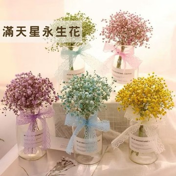 現貨🔺批發 20克/100克 滿天星 進口大朵 專業水染 滿天星 乾燥花材 網拍攝影道具 台灣本土種植 開店必備 永生花
