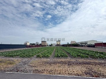 精品~*彰化平整雙面臨路農地｜彰化縣埔心鄉新南段