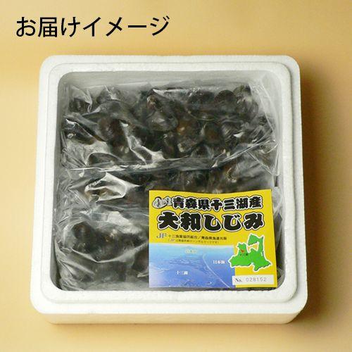 送料無料　青森県十三湖≪冷凍しじみ大粒 3kg≫（ヤマトシジミ）砂抜き済み 　シジミ 青森　シジミ　しじみ貝　シジミ貝　シジミ 青森県　ギフト　国産 しじみ