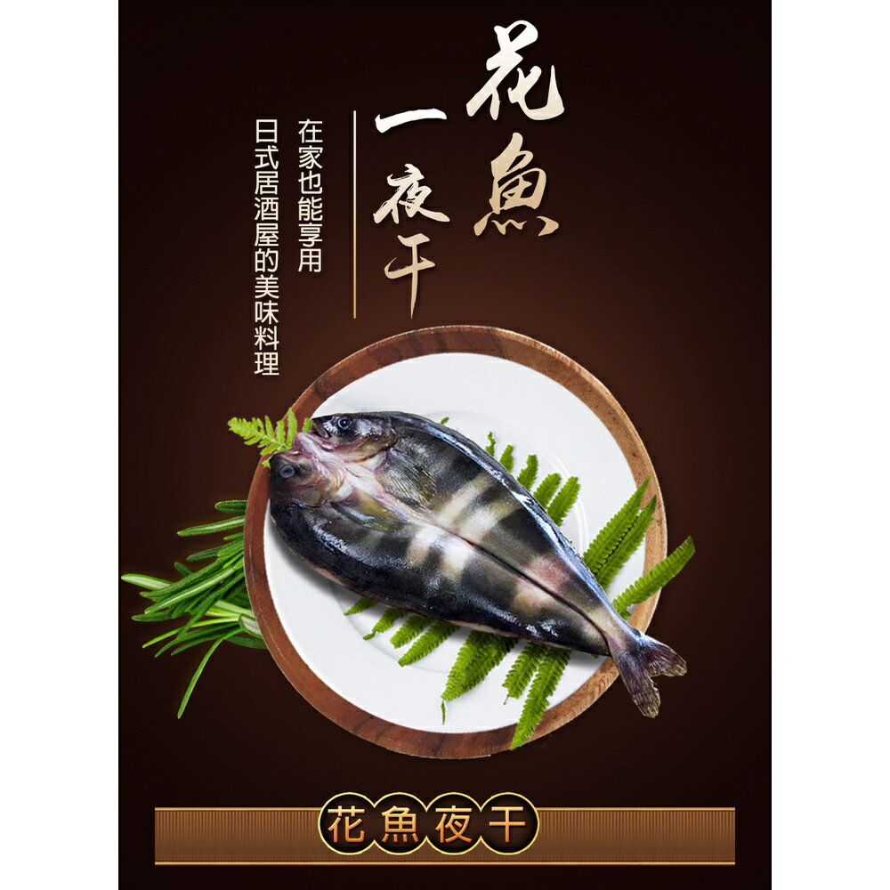 海威鮮城/ 日本花魚一夜干210g/隻