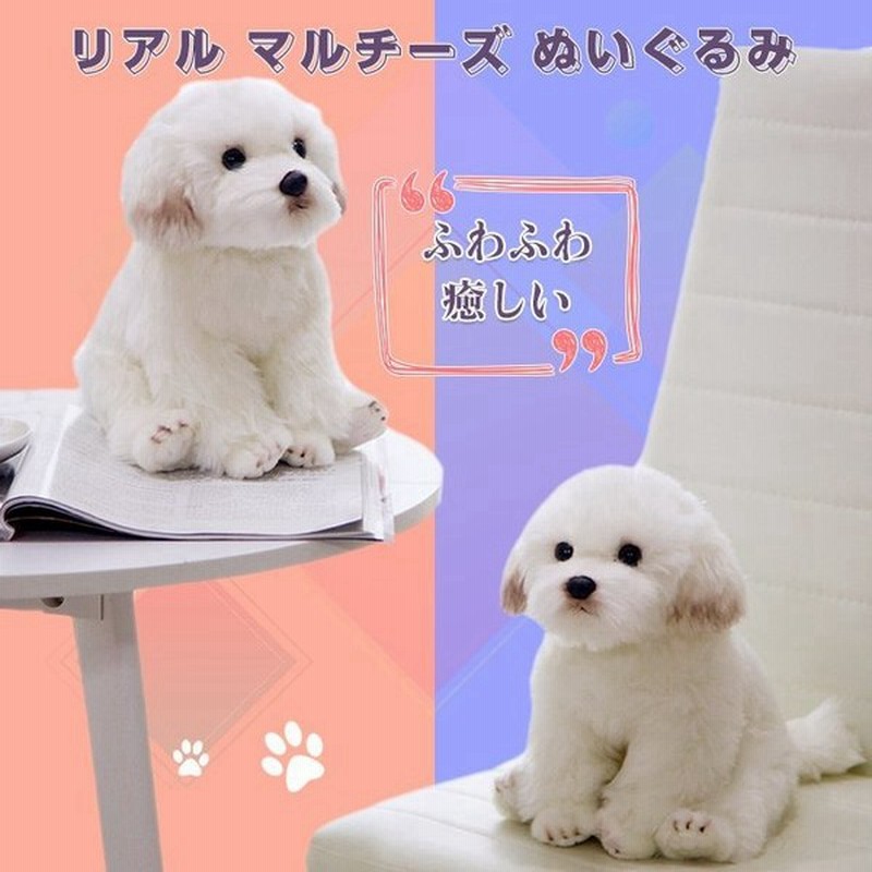 ぬいぐるみ 犬 マルチーズ イヌ おもちゃ 抱き枕 クリスマス お誕生日 記念日 プレゼント 高さ26cm 通販 Lineポイント最大0 5 Get Lineショッピング
