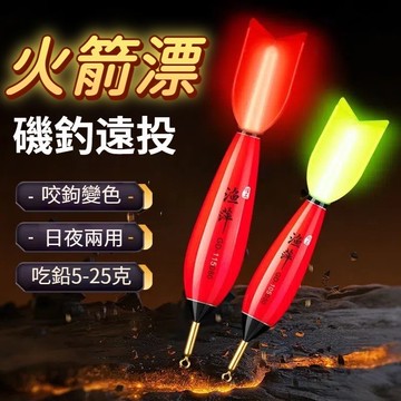 隔日達🎍火箭漂大物魚漂電子夜光漂日夜  電子浮標 磯釣長標 磯釣路亞鋼絲漂 浮標 短標 路亞餌 假餌 抗流標