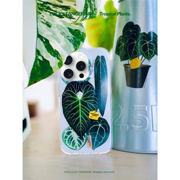 橘星高照花燭手機殼適用蘋果15promax保護殼熱植周邊帝王植物透明