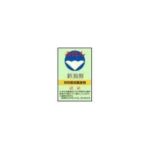 新米 10kg 5kg×2 玄米 特別栽培米 コシヒカリ 令和5年 新潟県 糸魚川 能生米  農家直送 送料無料