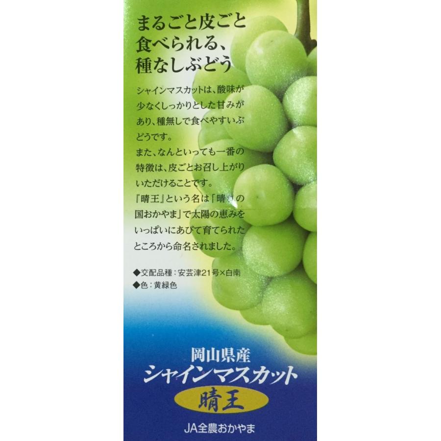 ぶどう シャインマスカット 晴王 はれおう 岡山産 皮ごと食べられる 800g以上