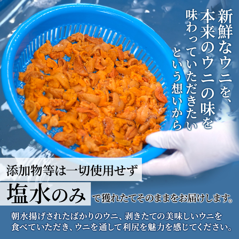 北海道 利尻 島産 塩水生うに（バフンウニ）85g×2パック [2024年6月出荷開始先行受付] ウニ 塩水ウニ