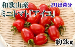 ミニトマト「アイコトマト」約2kg（S・Mサイズおまかせ）和歌山産