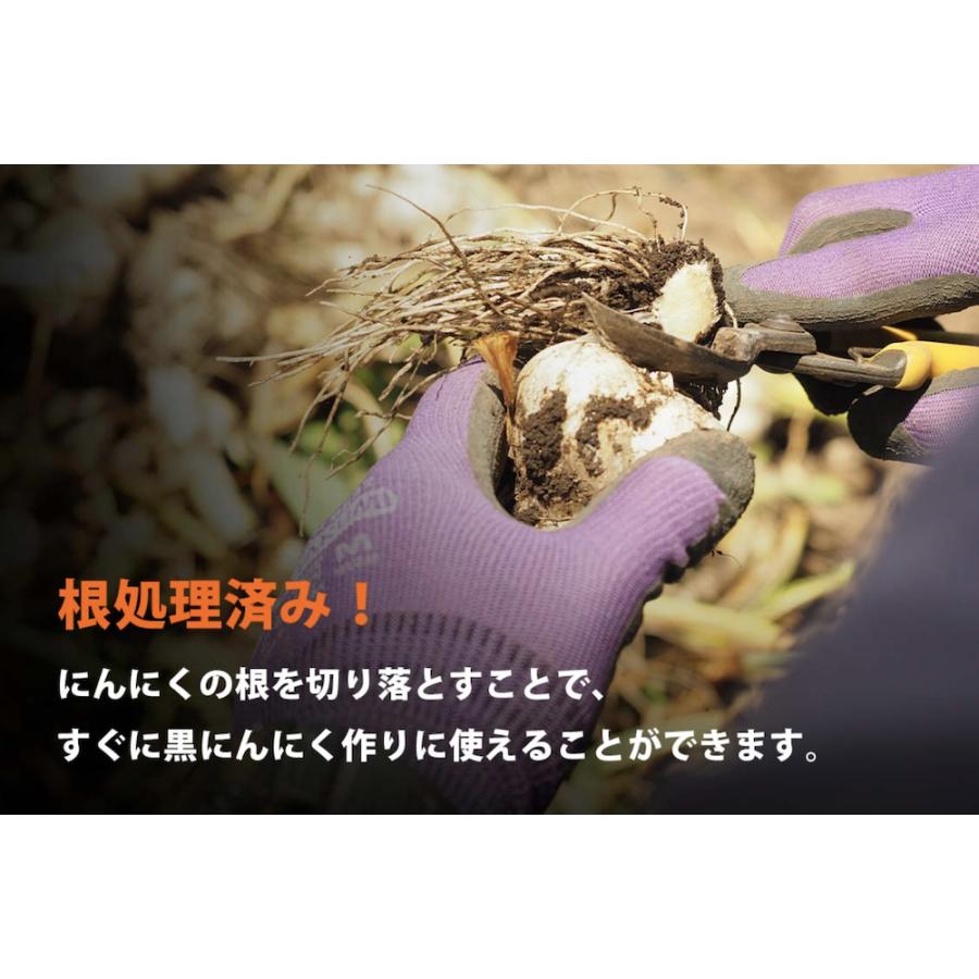 黒にんにく製造用にんにく 1KG