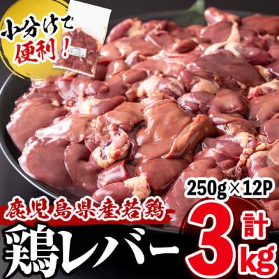 ふるさと納税 志布志市 鹿児島県産鶏レバー 計3kg(250g×12パック)!加熱用のレバーを真空パックでお届け!