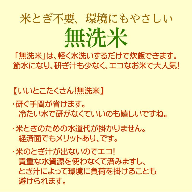 送料無料 森で育ったお米 新潟米コシヒカリ お試し 300g 2合 無洗米 棚田米 プレミアム米 新潟産 ポイント消化