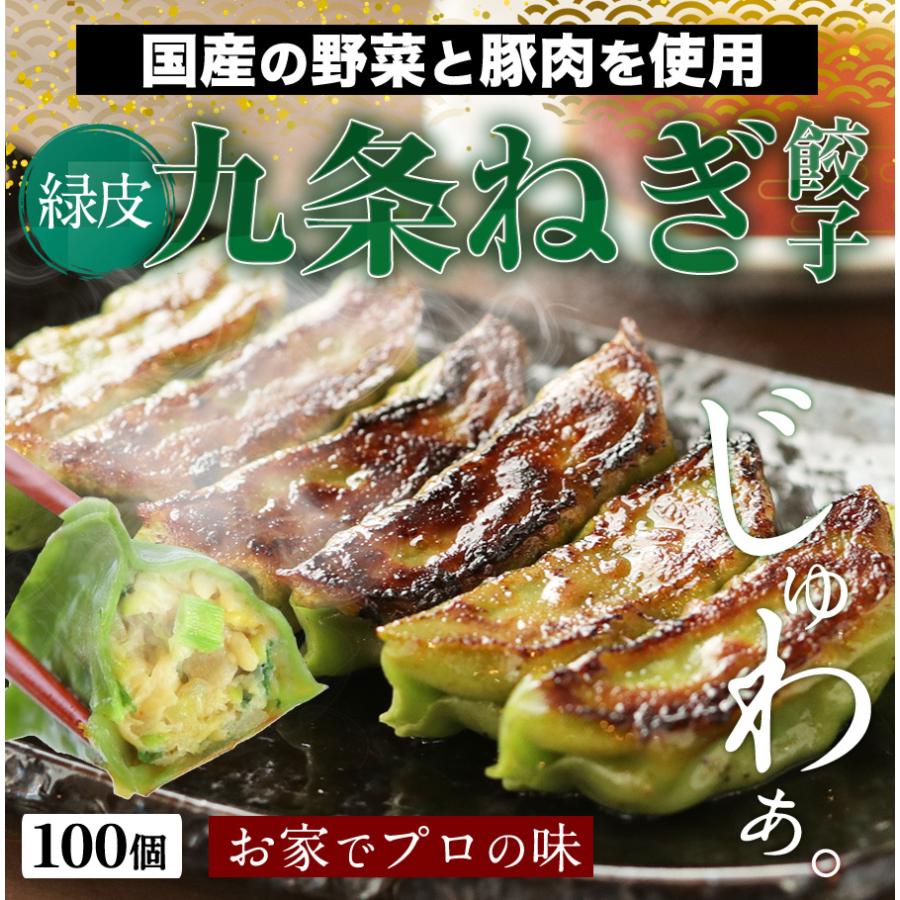 餃子 取り寄せ 送料無料 業務用 冷凍 生餃子 国産素材 時短 お手軽 簡単 大容量 餃子計画 緑皮九条ねぎ餃子100個入り