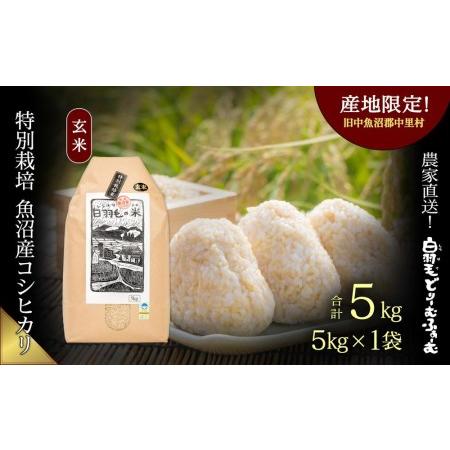 ふるさと納税 ≪令和5年産≫　農家直送！魚沼産コシヒカリ特別栽培「白羽毛の米」玄米(5kg×1袋) 5kg 新潟県十日町市