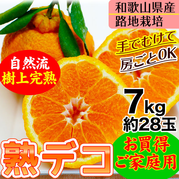 ご予約開始ご家庭用 不知火（デコポン）露地栽培の樹上完熟デコポン 和歌山県産サイズ不揃い、多少の傷有り　7kg（約28玉）送料無料※北海道、沖縄除く（了承済み×了承済み）