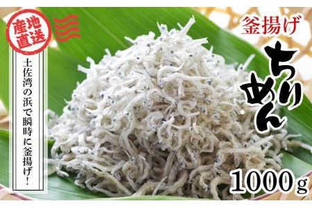 釜揚げちりめん（しらす）約1kg（約500ｇ×2袋） 鮮度日本一を目指します！浜で瞬時に釜揚げ