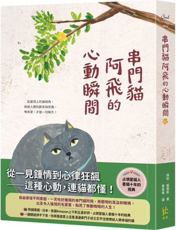 串門貓阿飛的心動瞬間【城邦讀書花園】