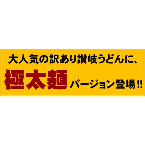 1000円ポッキリ 送料無料 極太麺バージョン！半生極太讃岐うどん1000g規格外ですが味は本場さぬきうどん！ご家庭用にいかがですか？しかも送料無料 訳あり 食品 うどん ポスト投函便での配送(着日指定不可)