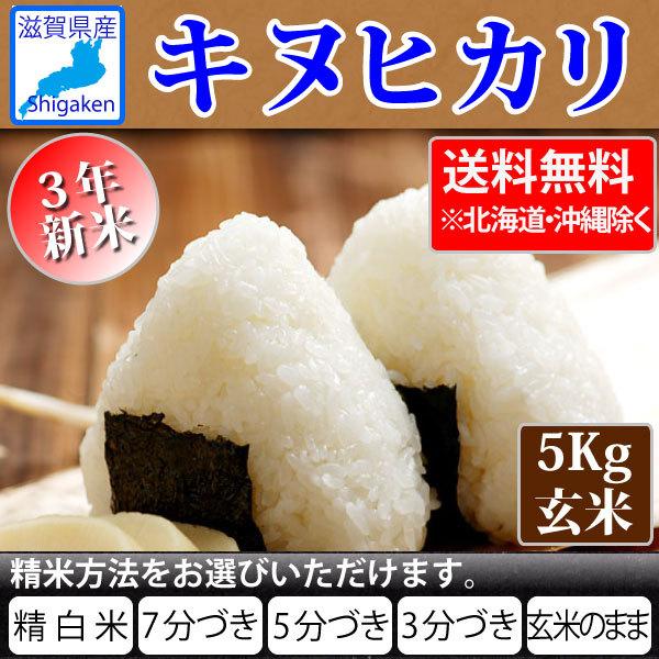 令和5年産 滋賀県産キヌヒカリ5Kg玄米  お好きな分つきに 健康応援 送料無料※一部地域を除く