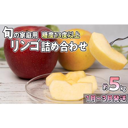 ふるさと納税 1〜3月発送旬のリンゴ詰め合わせ 約5kg糖度13度以上 青森県弘前市