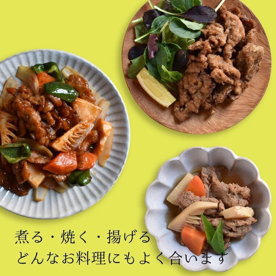 大豆ミート  ソイプロテイン 食物繊維 イソフラボン グルテンフリー ダイエット 大豆 