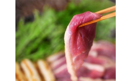 先行予約 『京鴨』 鴨肉 PREMIUM ふるさと食べ比べセット（2パックで約950g）
