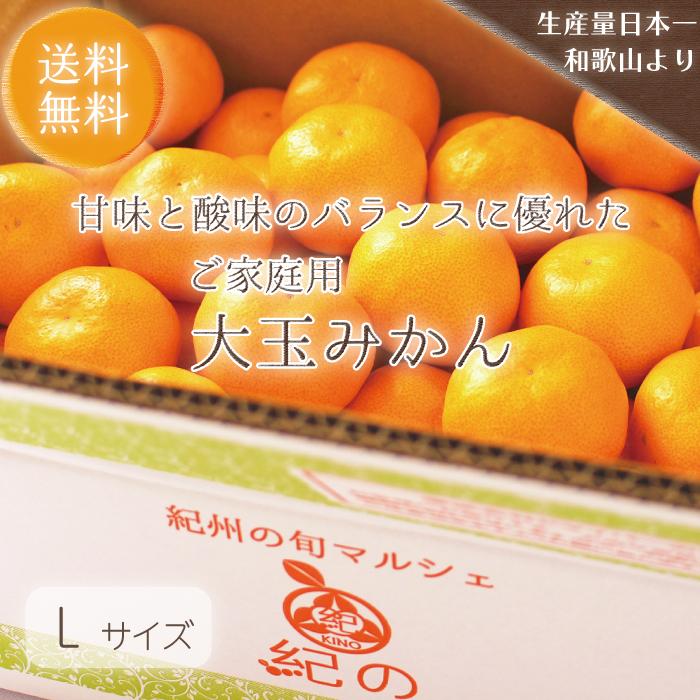 温州みかん 送料無料  多少キズあり ご家庭用 みかん 温州 紀南 ミカン 大玉 L 和歌山 フルーツ 果物 糖度 甘い 濃厚 家庭用 訳あり 紀の