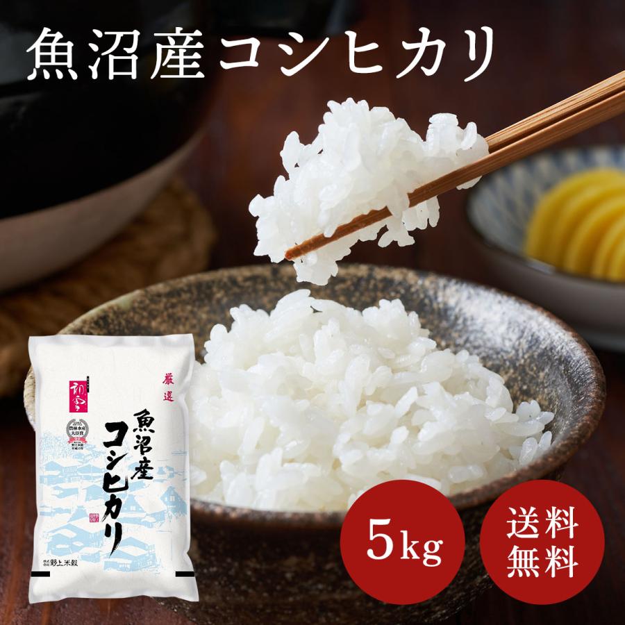 送料無料 令和５年産 魚沼産コシヒカリ 5kg おこめ 精米 新潟