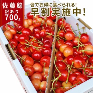 2024年6月下旬 先行早割 さくらんぼ 佐藤錦 訳あり 佐藤錦 700g(バラ詰め)  産地直送 ご家庭用 お得 家族 送料無料