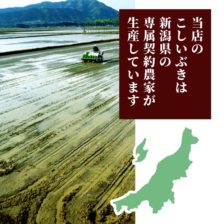 新米 5年産 新潟産 こしいぶき 10kg 5kg×2袋 受注精米 お歳暮 冷めてもおいしい 新潟県産 米 白米 精米 減農薬 農家 直送 生産者 備蓄 ギフト 内祝