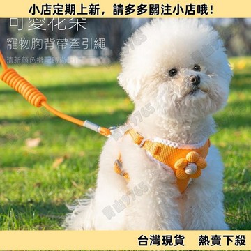 【高CP好物】狗狗貓咪牽引繩 背心式泰迪比熊小型犬胸背帶 貓咪狗狗兔子繩鏈寵物用品🔥
