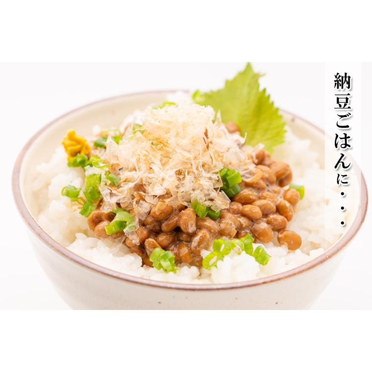 いわし削り節 ふわっふわ削り（ 国産 干物 無添加 ）25g×10個 うるめいわし使用 食べる削り節 削り節 出汁 だし ご飯のお供 おつまみ 食べる煮干し 煮干し