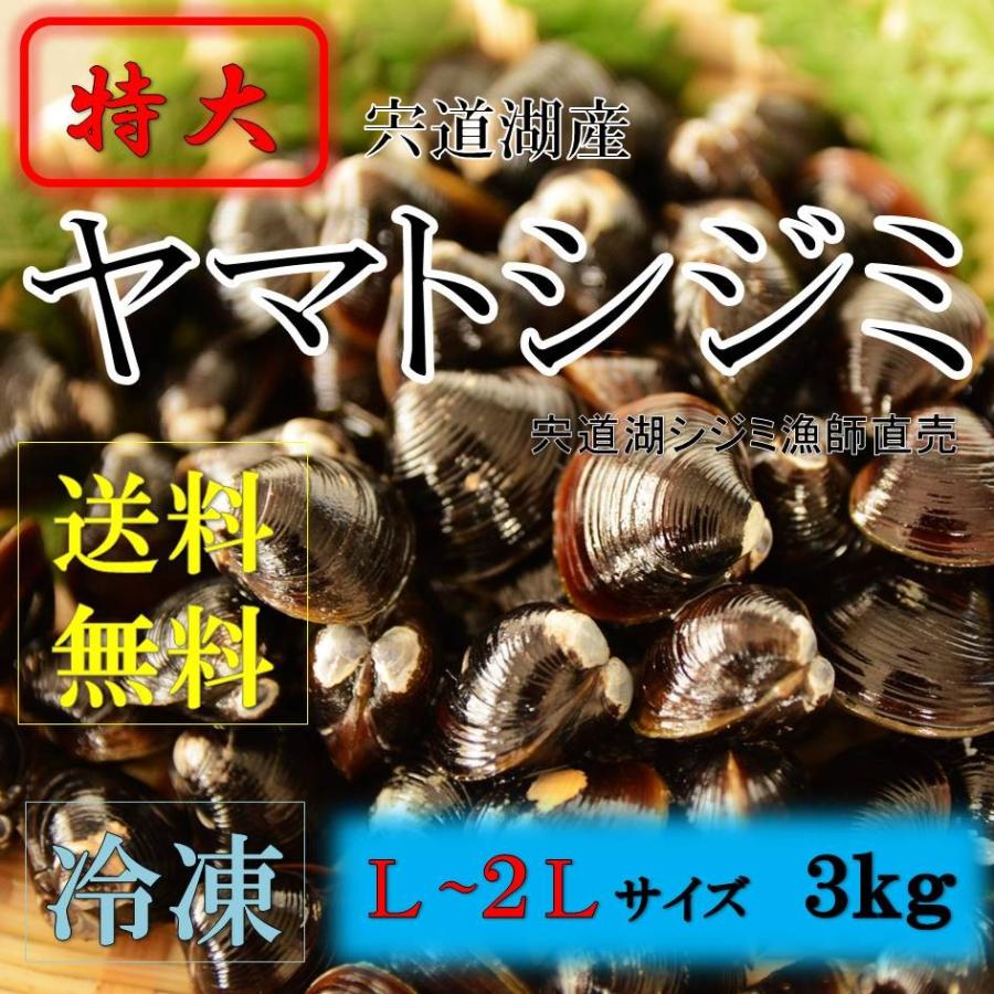 シジミ 宍道湖産 Lサイズ ３ｋｇ 送料無料 冷凍 砂抜き済み