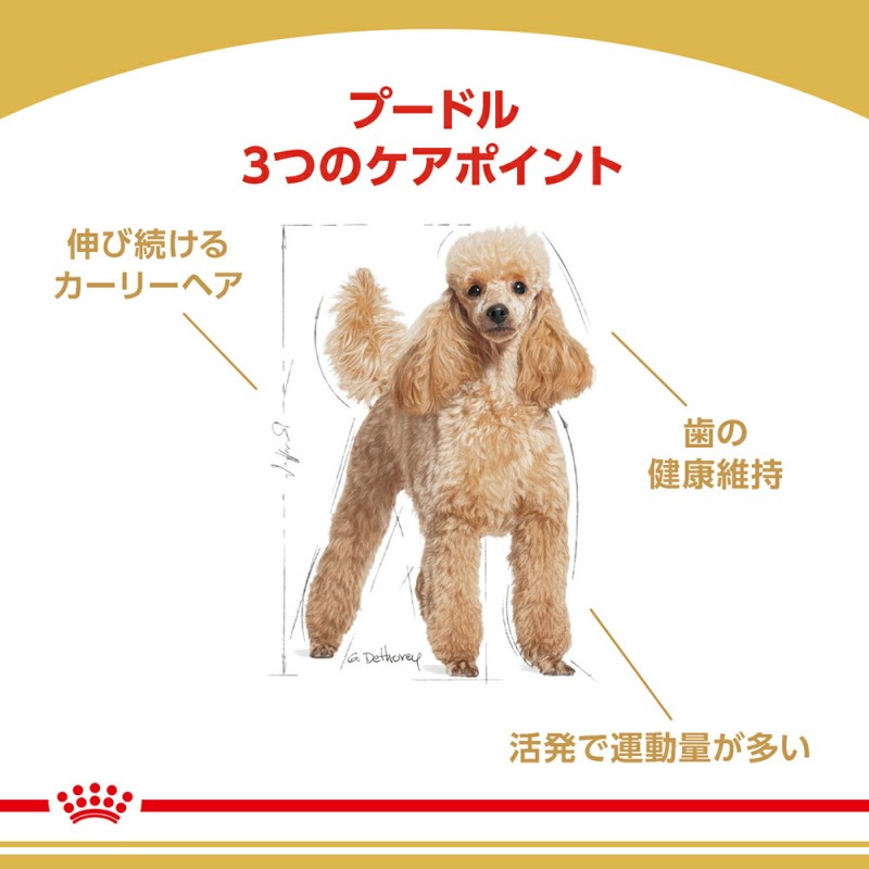 ロイヤルカナン プードル 専用フード 成犬用 7.5kg | LINEブランドカタログ