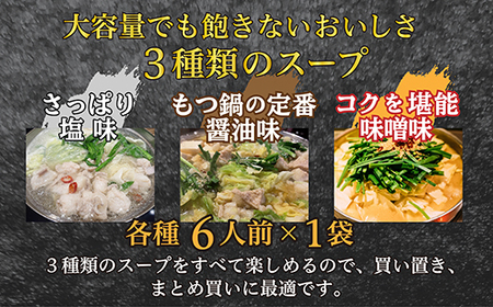 2F1 マルイチ食品 博多もつ鍋 18人前 人気３味セット (醤油・塩・味噌各6人前)