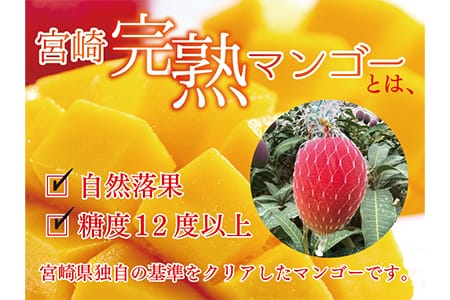 完熟 マンゴー 3L～4L 2玉 濃厚 宮崎 高級 果物 フルーツ 贈答 ギフト 甘い 先行受付 送料無料（04-77）