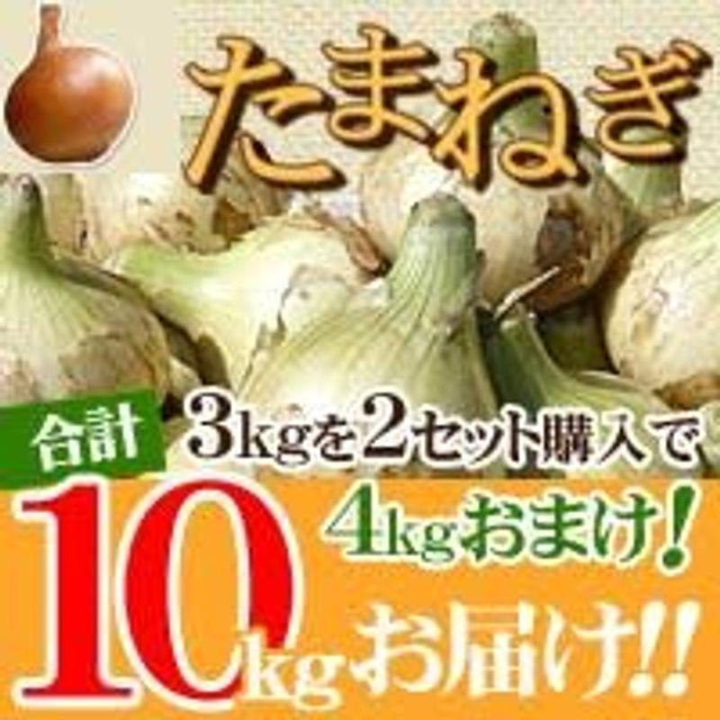 淡路島玉ねぎ 10kg