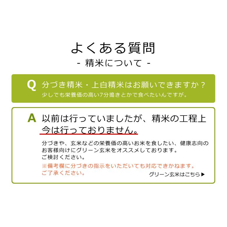 新米 クーポンご利用で10180円！米 お米  30kg 森のくまさん 熊本県産 令和5年産 玄米30kg 精米27kg