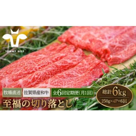 ふるさと納税 佐賀県産和牛 至福の切り落とし 1kg（250g×4パック）[IAH095] 佐賀県白石町