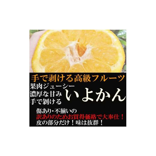 ふるさと納税 和歌山県 有田川町 みかん いよかん 伊予柑  2kg ご家庭用　和歌山県有田川町産