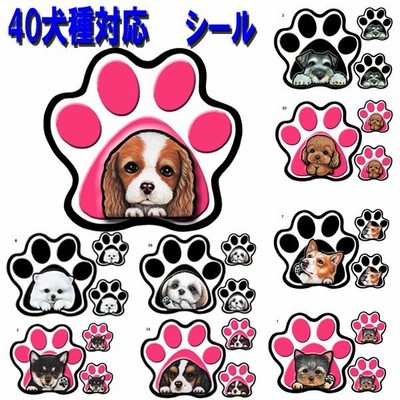 パウ ステッカー 犬 シール 肉球 足跡 可愛い 車 壁 玄関 グッズ プレゼント ドッグ イラスト シルエット かわいい 顔 通販 Lineポイント最大get Lineショッピング