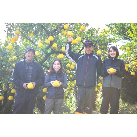 ふるさと納税 浜田農園の土佐文旦3kg家庭用 高知県宿毛市