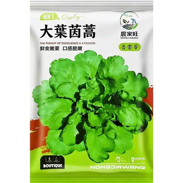 【原裝臺灣山茼蒿種子】 大葉茼蒿種籽 春菊種子 打某菜 皇帝菜 在家自種 家庭蔬菜 陽台盆栽 非基改 生長期短 四季可播