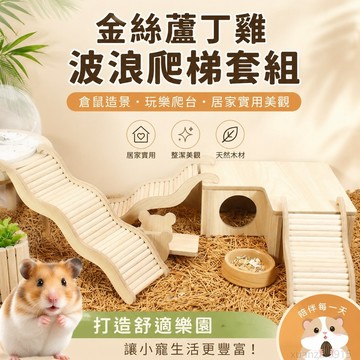金絲蘆丁鷄波浪爬梯倉鼠樓梯平臺浴沙盆爬梯籠子造景用品小屋 出貨 倉鼠籠子 倉鼠造景 倉鼠造景平台 倉鼠造景用品 籠子倉鼠