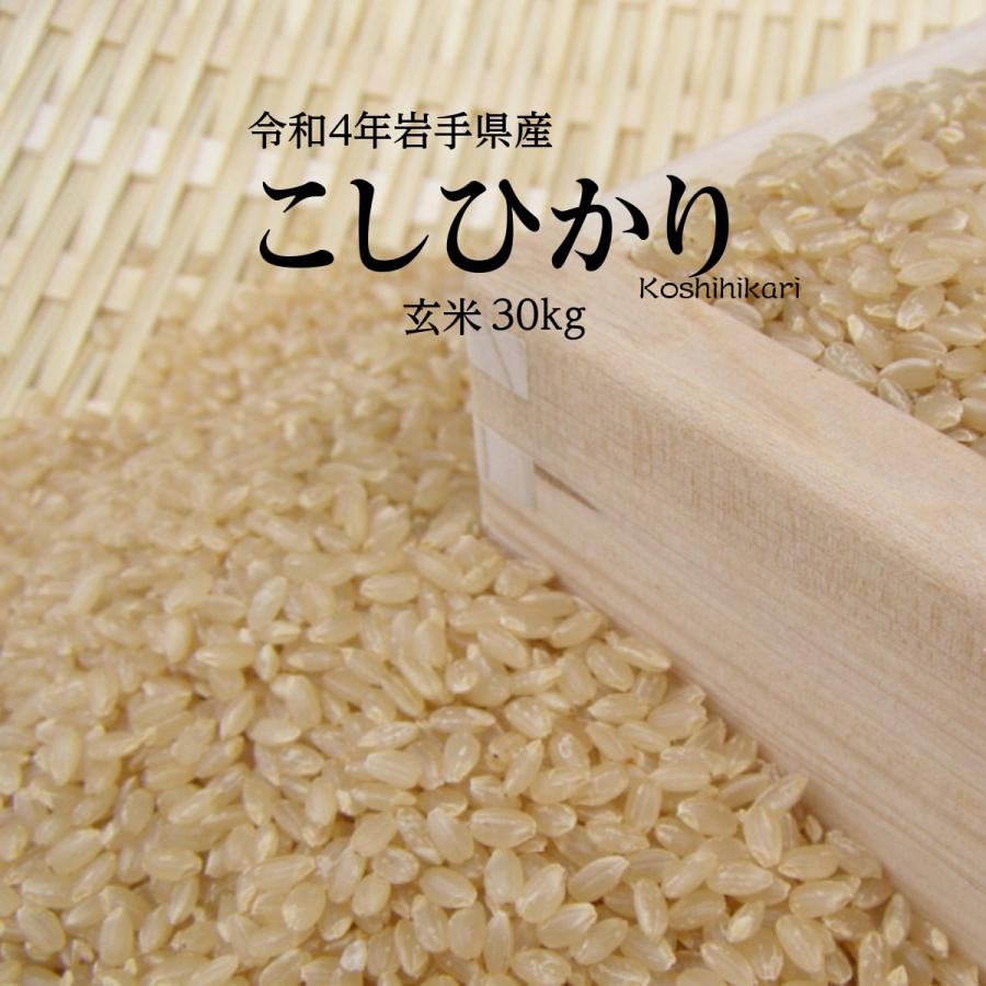 米 新米 令和5年 コシヒカリ 玄米 お米 玄米 30kg 岩手県産 送料無料