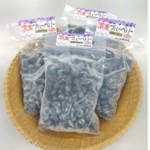 ふるさと納税 冷凍ブルーベリー(500g×4パック) 福島県柳津町