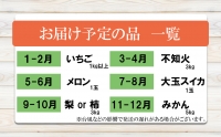 NN03 季節の人気フルーツ 熊本県なごみ町